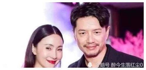 全娱乐圈的明星都在听我吃瓜小说